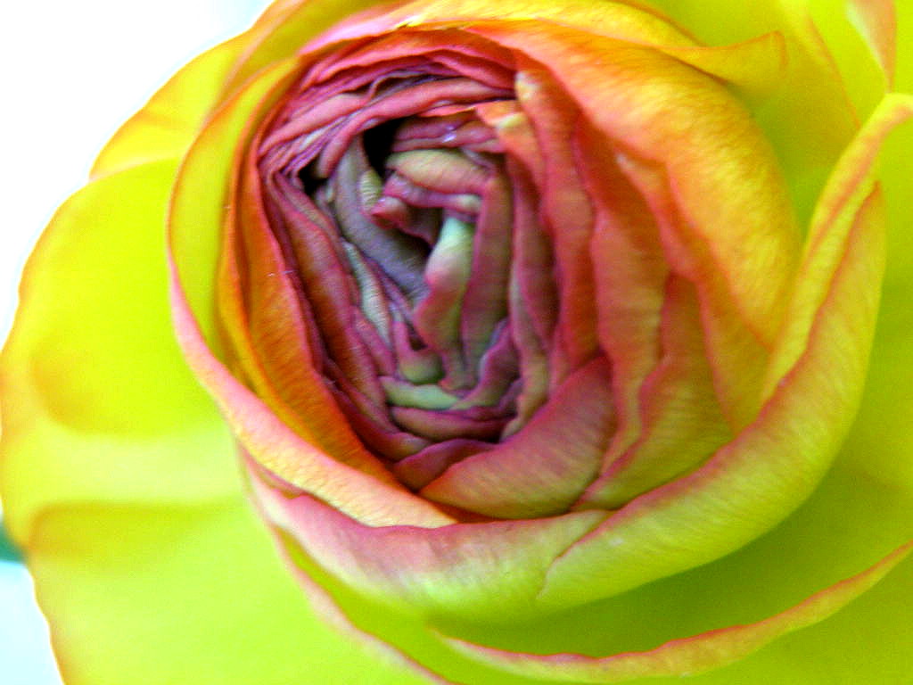 e0064158_1471867.jpg