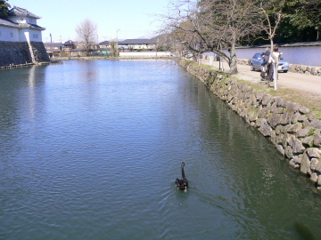 a0063364_1453071.jpg