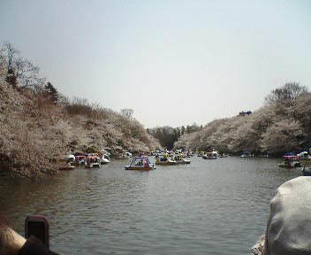b0009665_054337.jpg