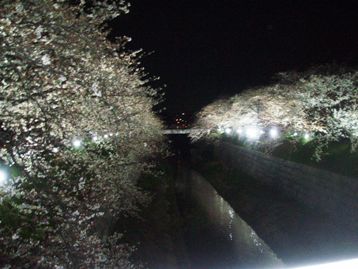 a0046069_8201581.jpg