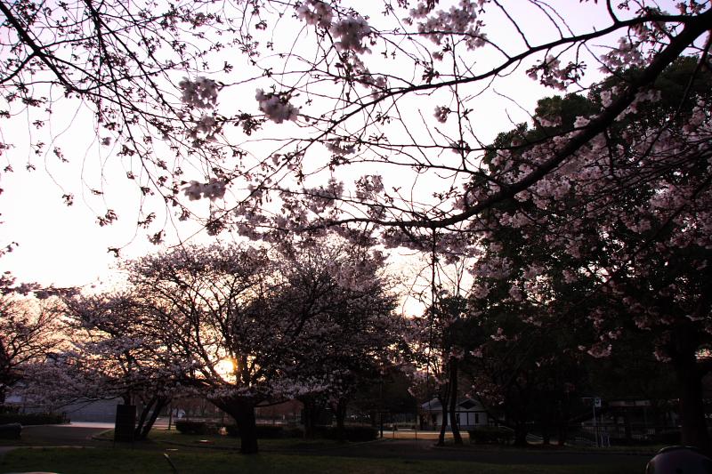 c0030874_744823.jpg