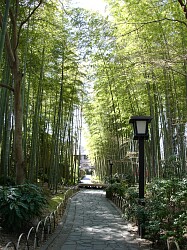 a0012575_21114217.jpg