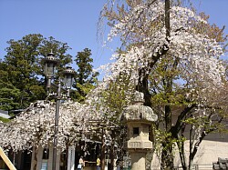 a0012575_2111720.jpg