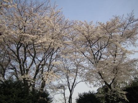 f0101578_1104877.jpg