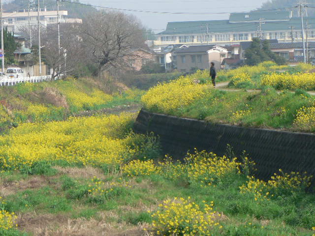 d0061286_2315879.jpg