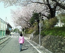 c0069988_21403370.jpg