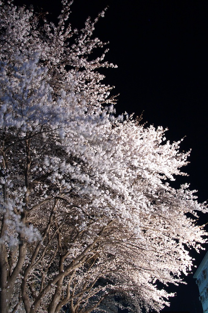 a0054691_032614.jpg