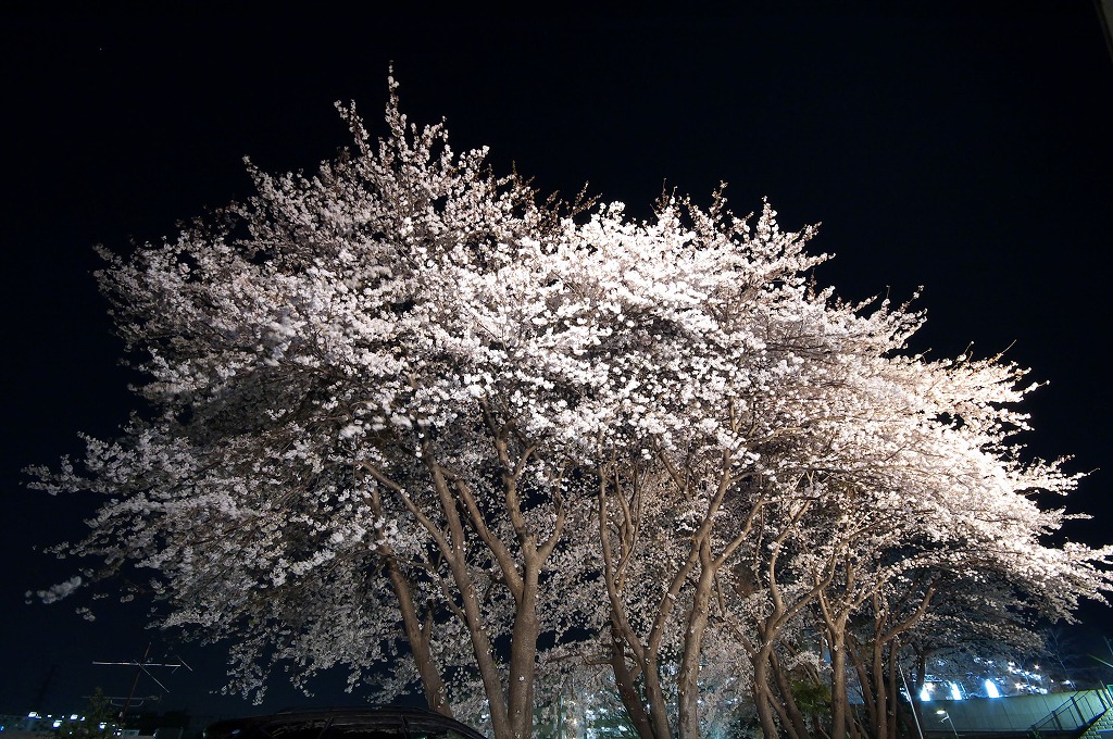 a0054691_04934.jpg