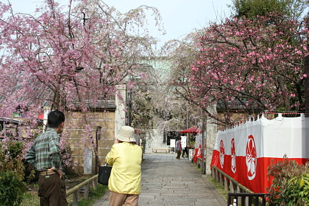 c0044199_21593382.jpg
