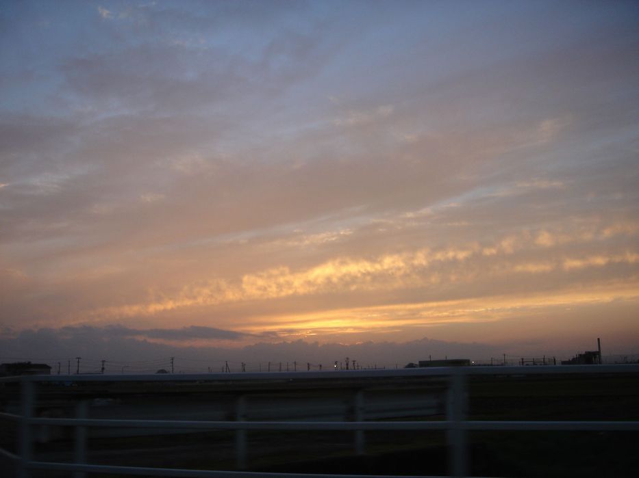 f0001099_954530.jpg