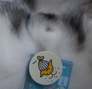 c0011300_9291555.jpg