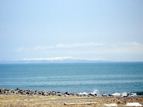 f0020302_1246110.jpg