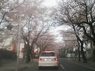 f0105504_03433.jpg