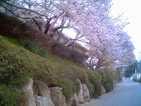 e0075015_5175512.jpg