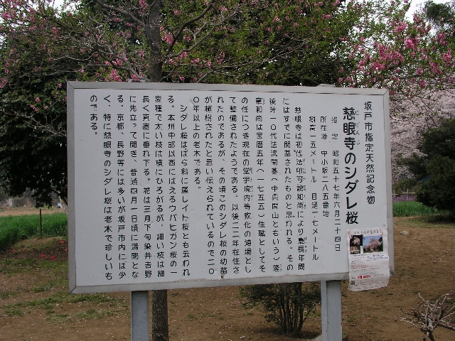 e0071225_013471.jpg