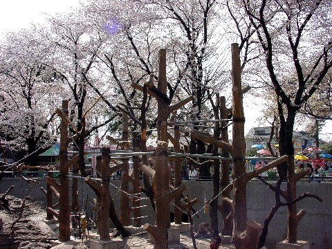 a0048531_21131582.jpg