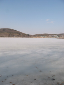c0069734_1147229.jpg