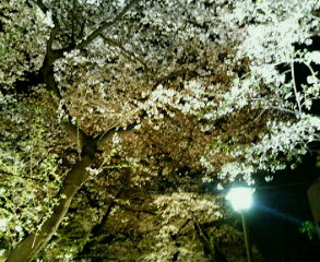 c0025840_0261383.jpg