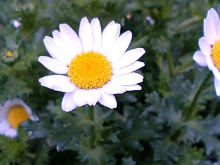 e0034641_21233561.jpg
