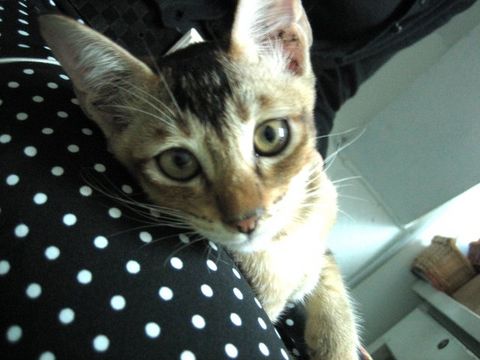 e0018143_20132946.jpg