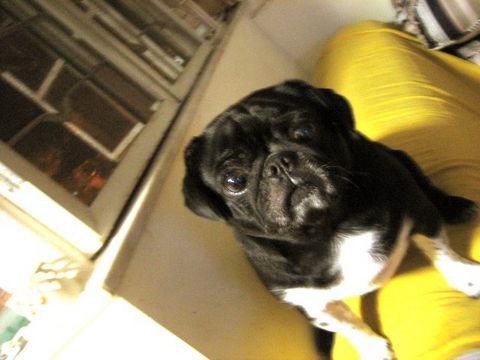 e0018143_2013990.jpg