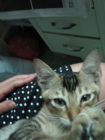 e0018143_20141666.jpg