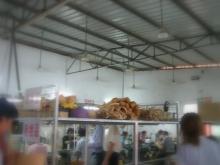 e0018143_3145337.jpg