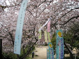 f0094045_12183841.jpg