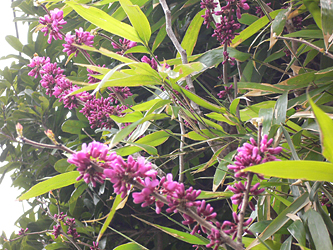 c0069048_634675.jpg