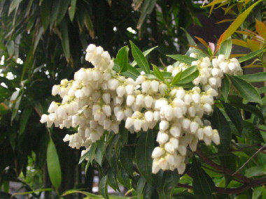 d0004651_1258687.jpg