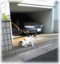c0025852_1402591.gif