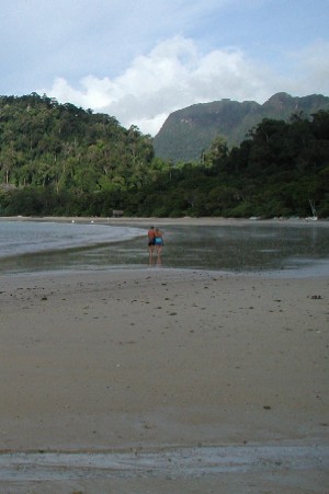 f0002265_2092054.jpg