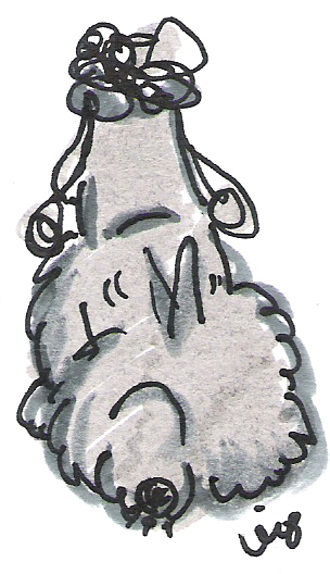f0096569_1958317.jpg
