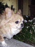 f0052071_13444460.jpg