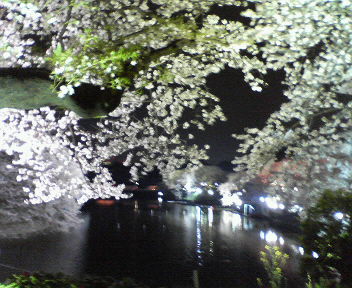 e0088684_0142811.jpg