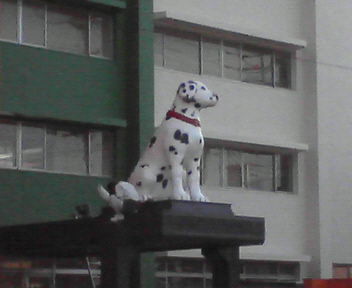 e0017290_033465.jpg