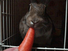 b0030701_91827100.gif