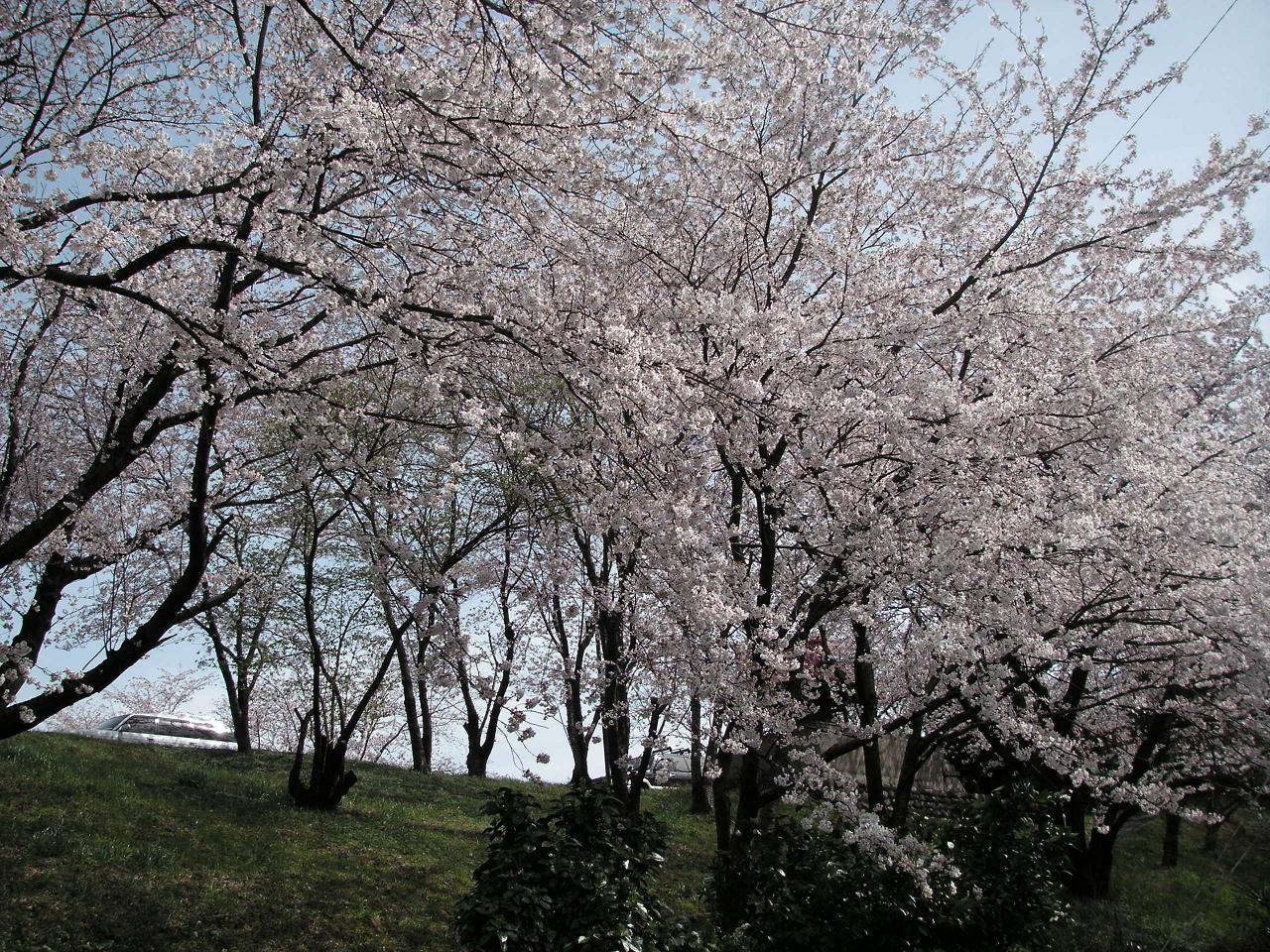 e0010302_18243952.jpg
