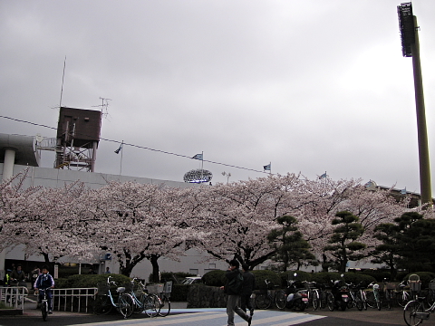 a0024005_14455925.jpg