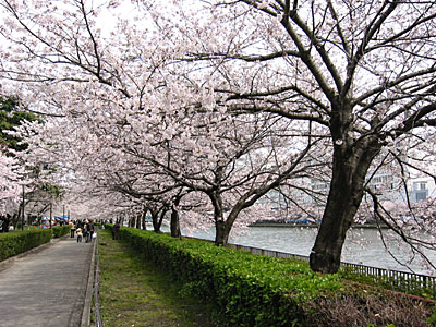 a0041508_18464530.jpg