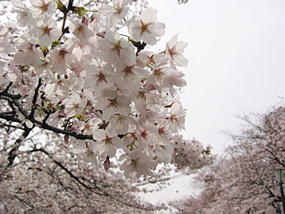 a0041508_1847025.jpg