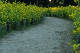 a0036412_23105713.jpg