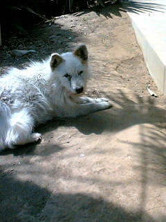 f0033314_21491618.jpg