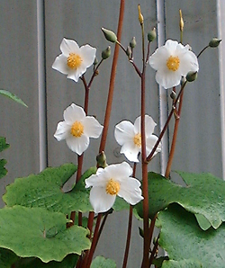 f0060424_1984484.jpg