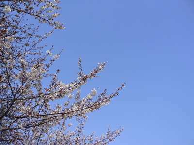 f0073833_16282464.jpg