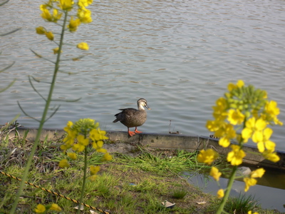 f0073833_16352079.jpg