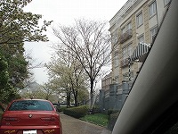 c0038334_2237148.jpg