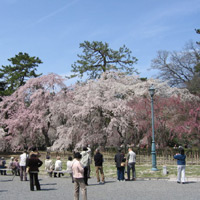 d0033734_17533616.jpg