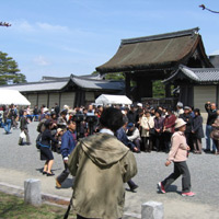 d0033734_17545143.jpg