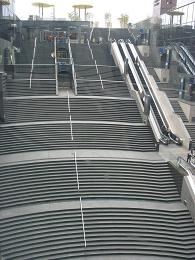 f0045736_825067.jpg